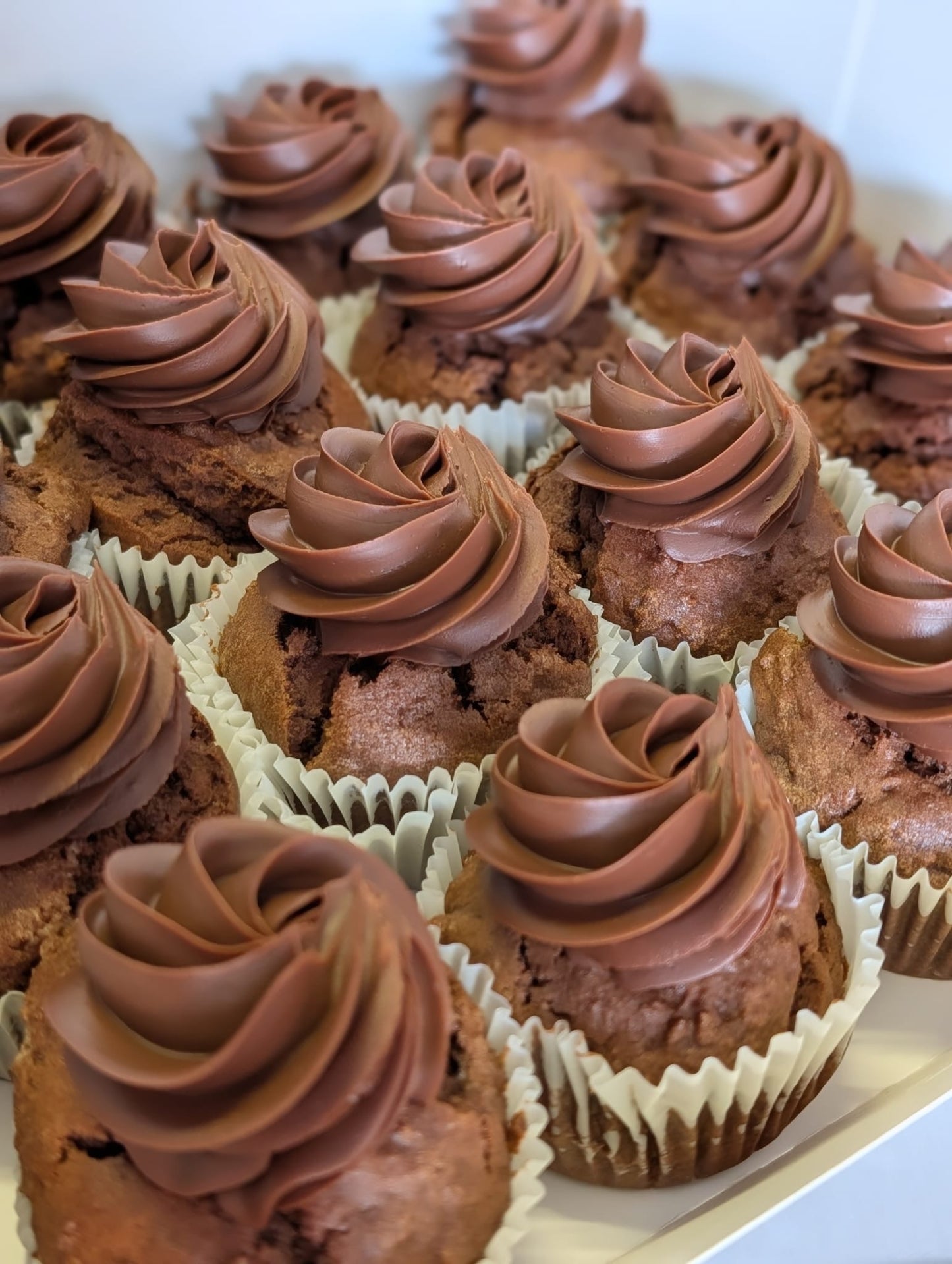 Box of 16 cupcakes