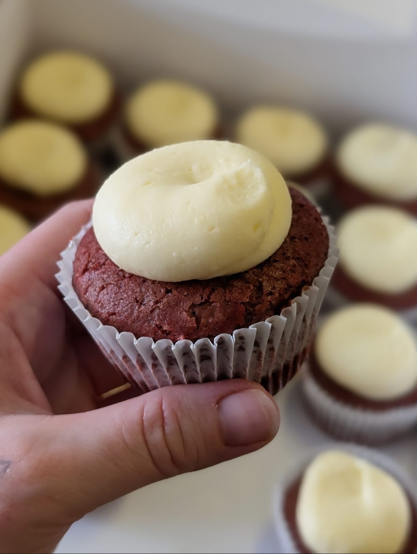 Box of 16 cupcakes